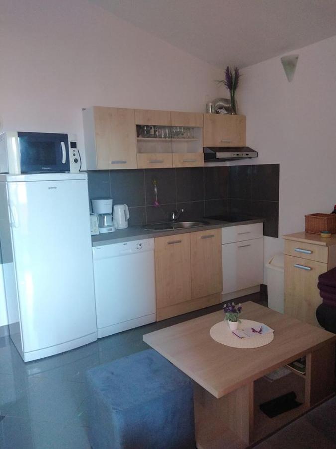 Apartmani Ivankovic 카를로바크 외부 사진