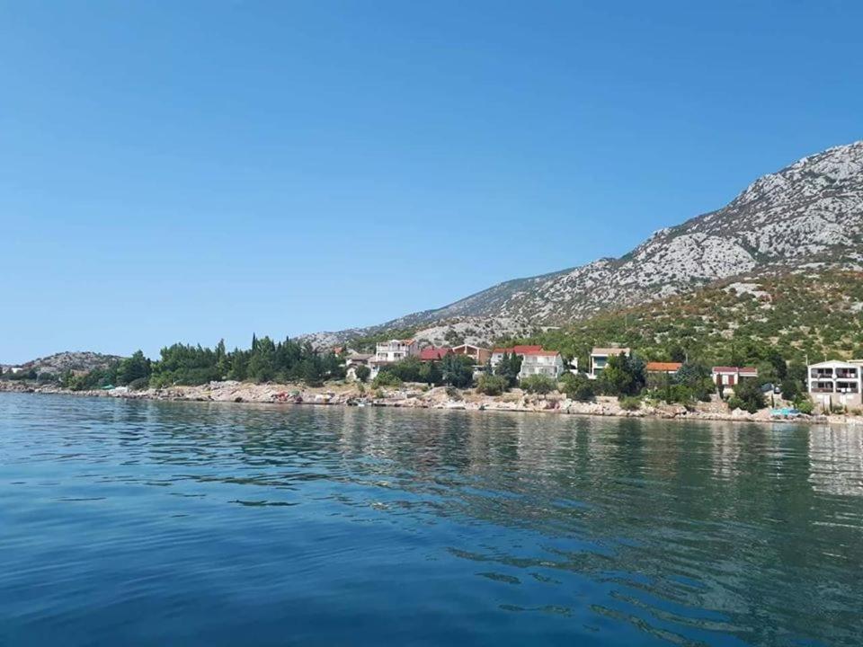 Apartmani Ivankovic 카를로바크 외부 사진