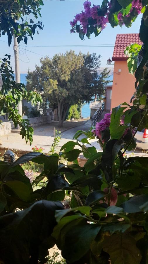 Apartmani Ivankovic 카를로바크 객실 사진